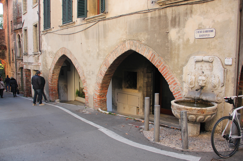 ELISAZAGO_ASILESWORLD_FONTANELLA ZEN_ASOLO